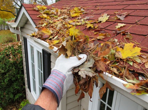 Gutter Cleaning