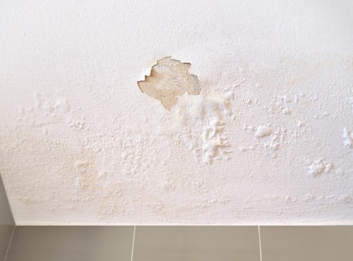 Water Damage in Champaign IL caused by a leaky roof