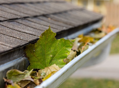 Gutters filled with leaves that need Gutter Cleaning in Champaign IL