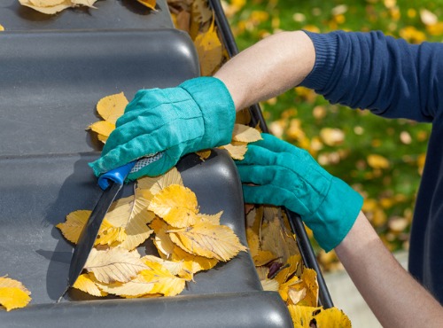 Gutter Cleaning Clinton IL