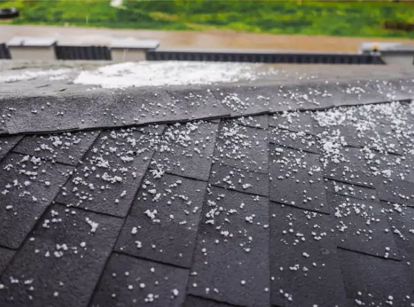 Malarkey Shingles