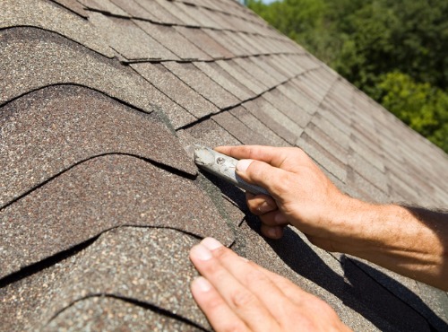 Do You Need Roof Maintenance Services for Your Roof?