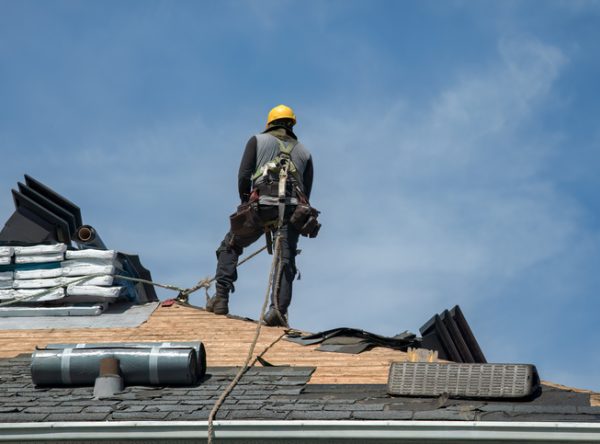 A professional part of a team of roofers in Bloomington-Normal IL getting ready to lay new shingles on a roof