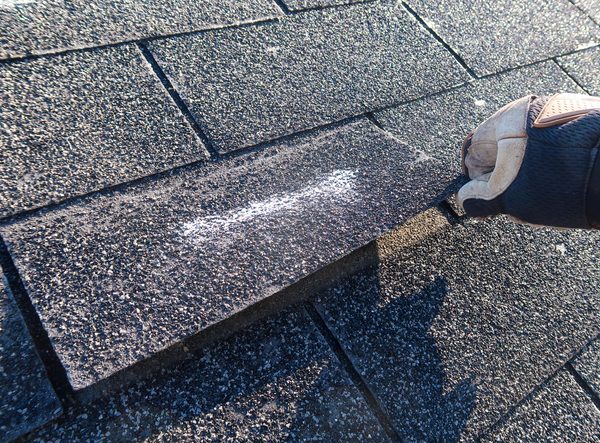 storm damage may have you searching for 